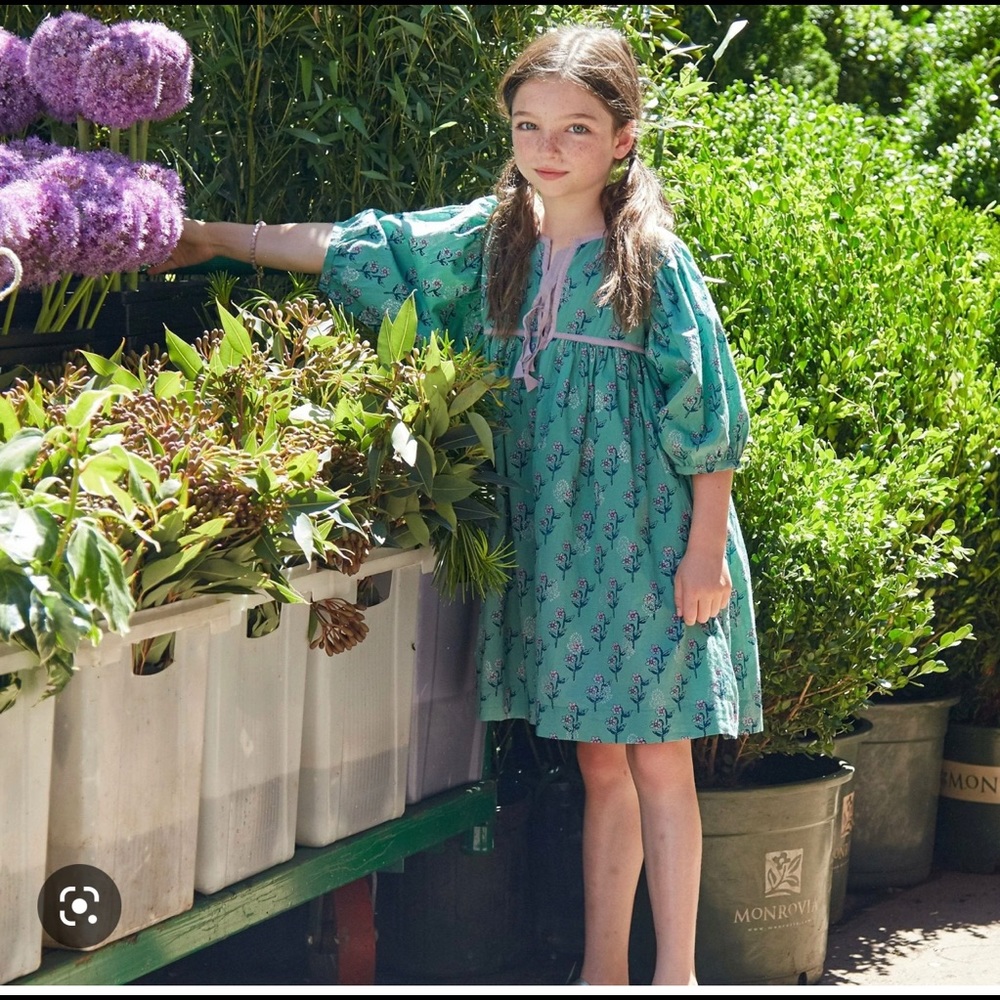 Pink Chicken Teal and Purple Kids Dress